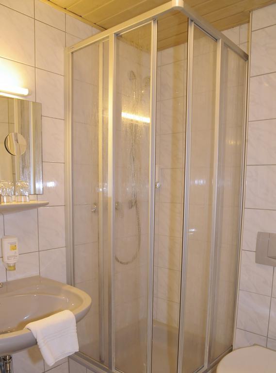Goldener Karpfen Aschaffenburg